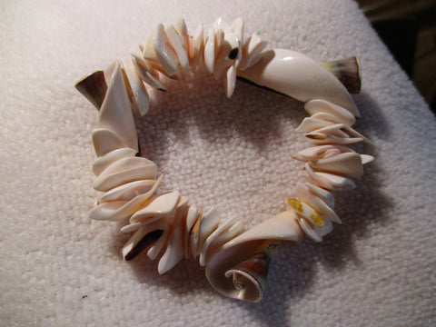 Stretchy Shell Bracelet (B526)